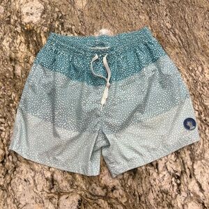 Chubbies Swim Trunks 5.5”